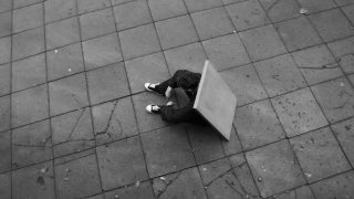 Adam_Steiner__Ben_Cook_copy