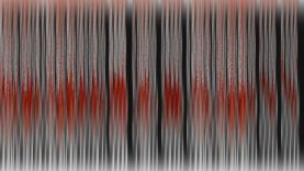 CatClaws-Ian Gibbins–Australia