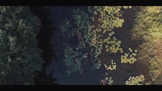 Frog On Water-Rajesh James-Chaucer Cameron-India_UK.mp4