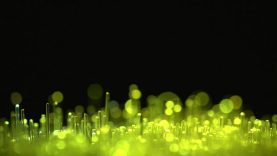 Grassland-Beachfront B-Roll-Sarah Sloat-UK.mp4