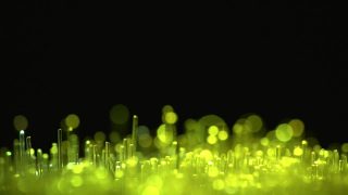 Grassland-Beachfront B-Roll-Sarah Sloat-UK.mp4