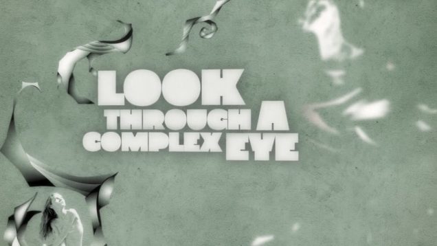 Look Through a Complex Eye and See 1000 of Everything-Layne-Zachary Schomburg-USA.mov
