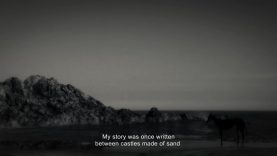 No one’s dog-Santiago Parres–Spain.mp4