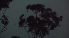 Osteoporosis-Ian Gibbins–Ausralia.mov