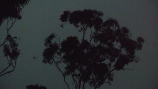 Osteoporosis-Ian Gibbins–Ausralia.mov