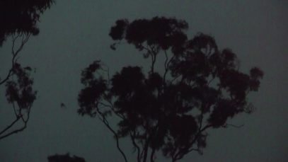 Osteoporosis-Ian Gibbins–Ausralia.mov