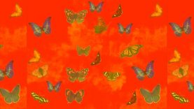 The Fauvist in Spring-Richard Jackson-Daniel Cockrill-UK.mp4