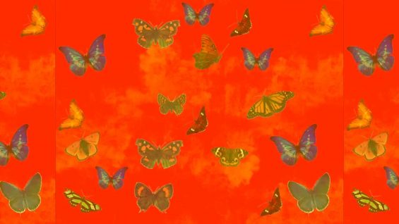 The Fauvist in Spring-Richard Jackson-Daniel Cockrill-UK.mp4