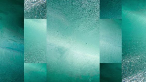 The Sea-Marie Craven-Juniper Roan-Australia.mp4