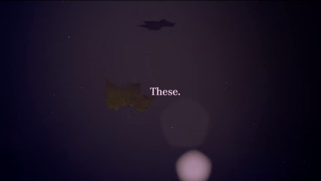 Suitcase- John Eickholt- Jane Hirshfield- USA