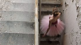 elephant-by-sina-seiler