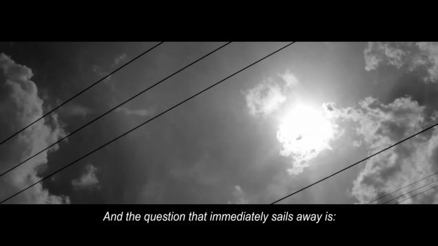 Forastero-Cristina Bustamante–Mexico.mp4-2