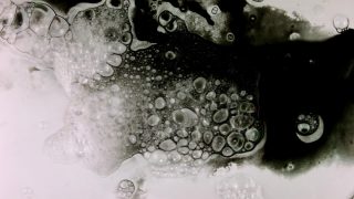 Mindblotch-Serge Goldwitcht–Belgium.mp4-2