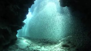 My Lover’s Pretty Mouth-Cindy St,Onge–USA.mp4-2