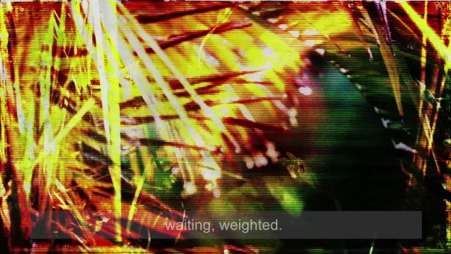 Rain Frog Promise-Meriel Lland–UK.mp4-2