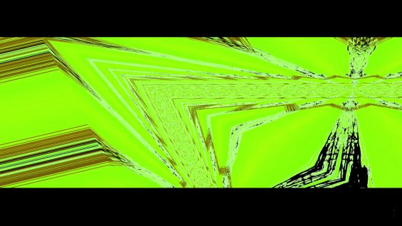 Situs Inversus Vincerum Totalis-Ian Gibbins-Australia.mov-2