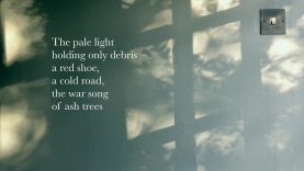 The last flowers-Janet Lees-Lucy English-UK.m4v-2