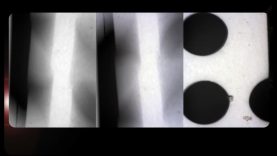 To be a Ghost-Rosemary Norman-Stuart Pound-UK.mp4-2