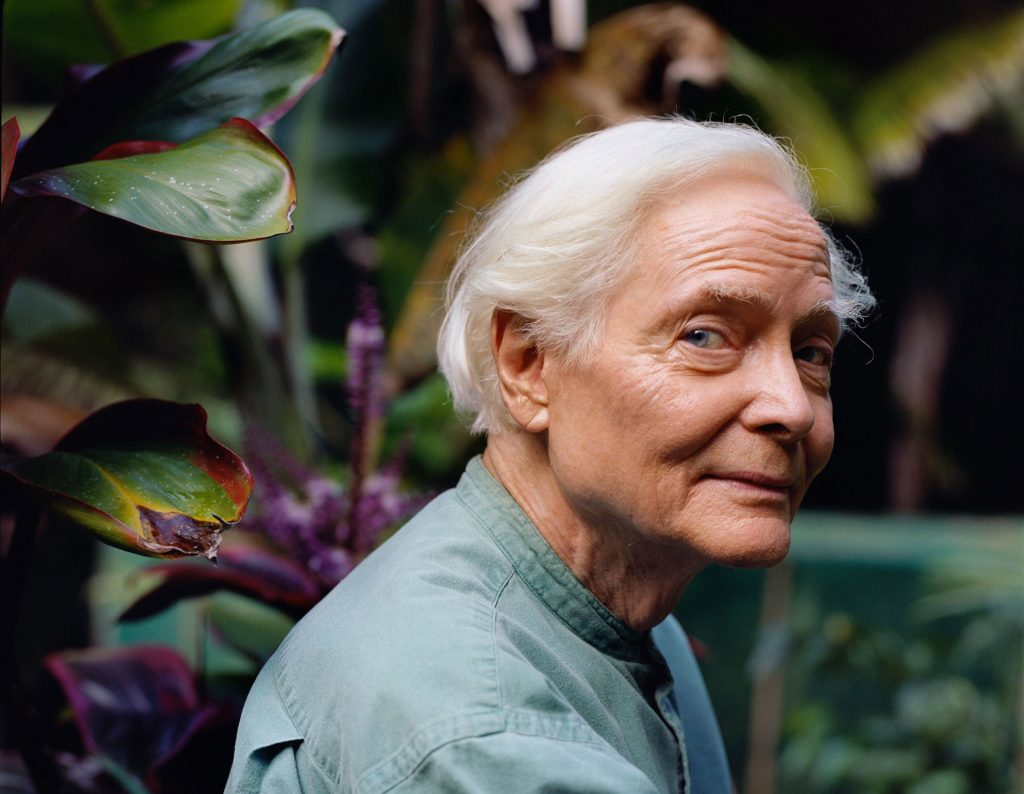 W. S. Merwin - Twelve Poems - FILM POETRY