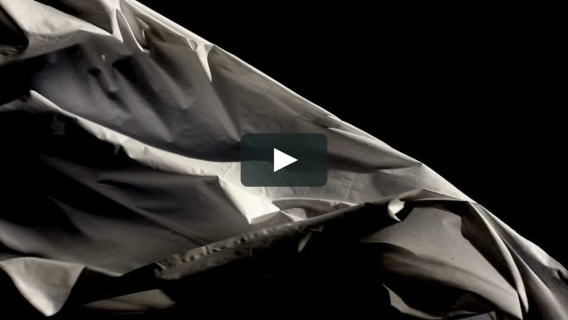 Chapter One The Arrival Sara Carneiro Portugal