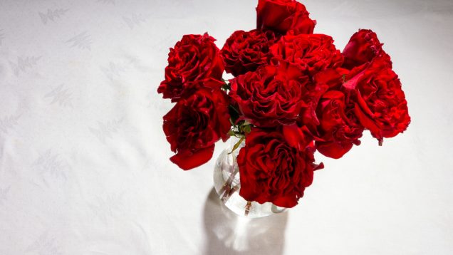 Exordium – Laura Knott – Kevin McLellan – USA1