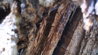 How-to-Get-Rid-of-Ourself-How-to-Achieve-Liberation-on-Our-Own-Exbus-–-Szabina-Peter-–-Kristof-Janos-Bodnar-–-Hungary2