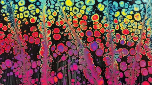 Lina-Ramona-Vitkauskas-Canada-US