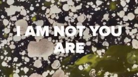 Lina-Ramona-Vitkauskas-Canada-US4