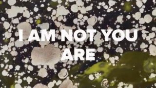 Lina-Ramona-Vitkauskas-Canada-US4