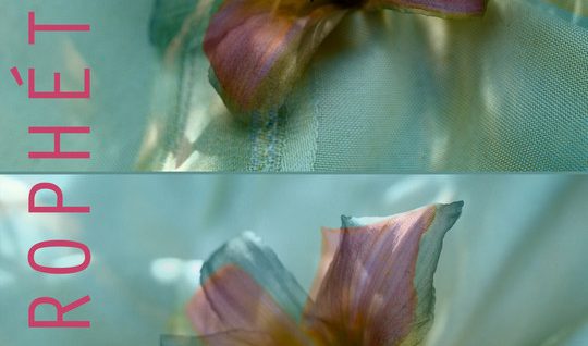 The-Prophetess-Marco-Joubert-Canada1-6