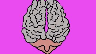 The Shape of the Land -Phyllis Bulkin Lehrer – USA