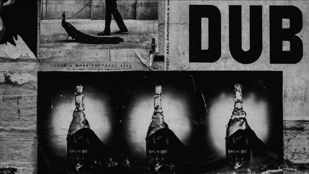 Twenty-Two-Exposures-Erica-Wheadon-Australia3