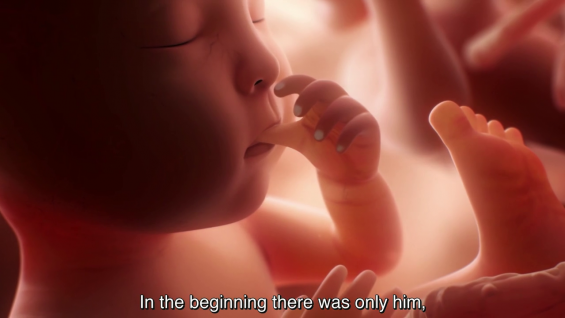 me-myself-I-bobie-Yves-Bommenel-France-2