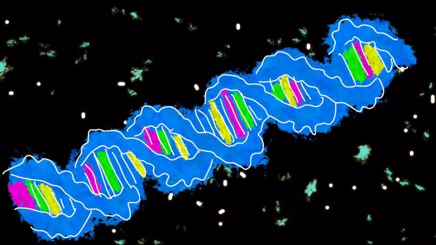 A CHANCE TO BE – Jesse Nyander – USA2