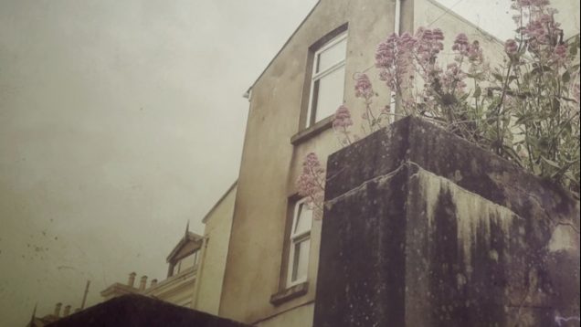 Coco The Wonderboy’s House Of Hashtags – Janet Lees – Isle of Man