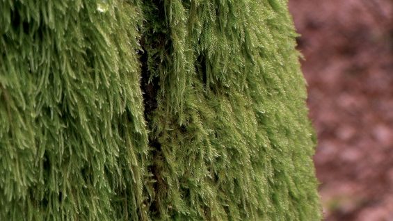 Fatal when they Touch – Luna Montenegro – Adrian Fisher – Gines Olivares – UK4