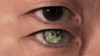 Haiku – Martin Gerigk – Germany – Japan21