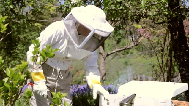 How Long Will You Sleep – Marilyn Freeman – USA5