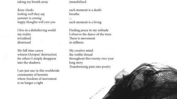 Invisible-Octopus-Corina-Duyn-Ireland