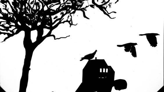 Invisible-Octopus-Corina-Duyn-Ireland2