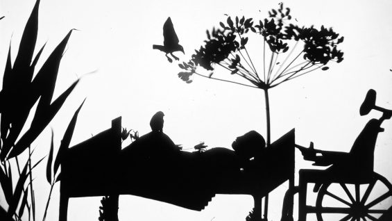 Invisible-Octopus-Corina-Duyn-Ireland3