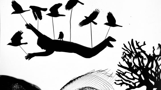 Invisible-Octopus-Corina-Duyn-Ireland4-1