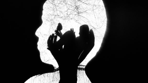 Invisible-Octopus-Corina-Duyn-Ireland5