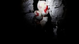 Lady Lazarus – Maria Salouvardou – Greece (1)