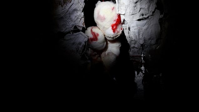 Lady Lazarus – Maria Salouvardou – Greece (1)