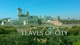 Leaves of the City – Carles Pamies – Spain