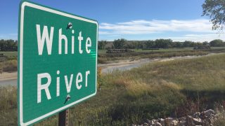 Mercy – Marilyn Freeman – USA7