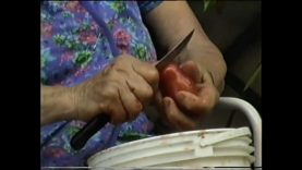 My Grandmother Sits in the Garden – Jack Guariento – UK