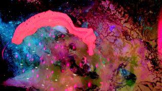 Origins of drawing – Serge Goldwicht – Belgium4