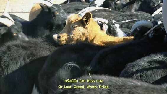 Personal Odyssey – Panida Petchara – Thailand3